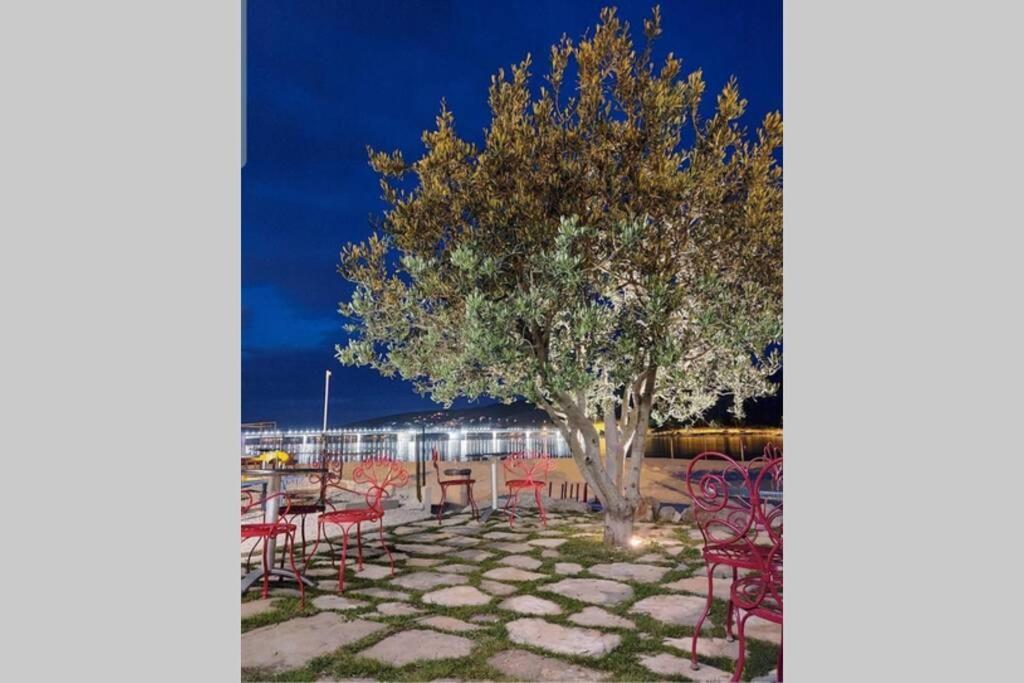 Oleandar Apartment Trogir Ngoại thất bức ảnh